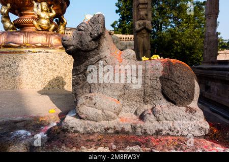 Nandi-Statue auf dem Tempelgelände des Brihadisvara-Tempels Stockfoto