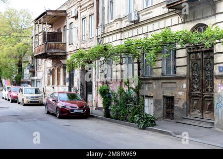 Weinrebe mit Trauben vor einem Wohnhaus im Zentrum der Altstadt von Tiflis, Georgia Stockfoto