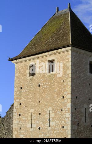 Cité médiévale. Provins. Seine-et-Marne. Frankreich. Europa / die mittelalterliche Stadt Provins. 13. Und 24. Jahrhundert. Seine-et-Marne. Frankreich. Europa. Stockfoto