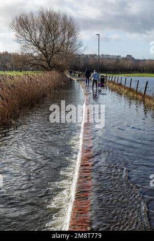 Geschwollener Fluss Avon in Salisbury, Wiltshire, England, Großbritannien nach starken Regenfällen. Januar 2023 Stockfoto