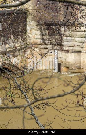 Der Wasserstand des Avon in Bradford auf Avon Wiltshire. Starke Regenfälle haben dazu geführt, dass der Fluss Avon seine Ufer platzte. Januar 2023. Wiltshire, England, Großbritannien Stockfoto