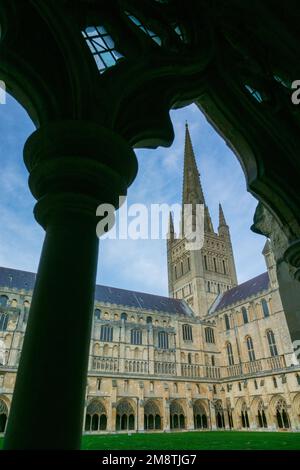 Norwich Cathedral Spire und südlicher Quer der Norwich Cathedral aus Sicht der Kloster Stockfoto