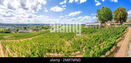 Johannisberg, Rüdesheim, Deutschland Stockfoto