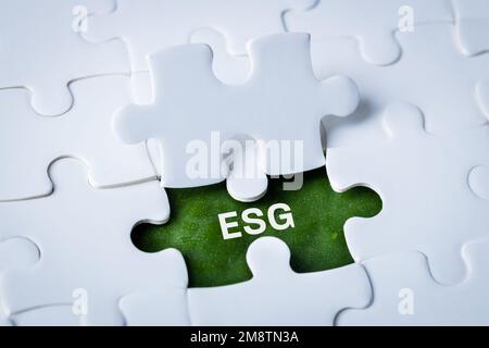 ESG, das Konzept der Umwelt-, Sozial- und Unternehmensführung, die Idee der nachhaltigen Entwicklung des Unternehmens, ESG-Wort auf dem grünen Blatt Stockfoto