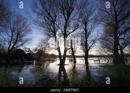 Der Fluss Avon in Salisbury Wiltshire platzt seine Ufer nach Wochen sintflutartiger Regenfälle im Südwesten des Vereinigten Königreichs bis Januar 2023. Zu Beginn des Neujahrs 2023 gab es Wochen des Regens, in denen die Flüsse in Großbritannien ihre Ufer zu platzen begannen. Der Fluss Avon gehörte dazu. Stockfoto