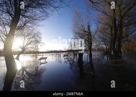 Der Fluss Avon in Salisbury Wiltshire platzt seine Ufer nach Wochen sintflutartiger Regenfälle im Südwesten des Vereinigten Königreichs bis Januar 2023. Zu Beginn des Neujahrs 2023 gab es Wochen des Regens, in denen die Flüsse in Großbritannien ihre Ufer zu platzen begannen. Der Fluss Avon gehörte dazu. Stockfoto