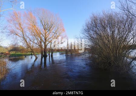 Der Fluss Avon in Salisbury Wiltshire platzt seine Ufer nach Wochen sintflutartiger Regenfälle im Südwesten des Vereinigten Königreichs bis Januar 2023. Zu Beginn des Neujahrs 2023 gab es Wochen des Regens, in denen die Flüsse in Großbritannien ihre Ufer zu platzen begannen. Der Fluss Avon gehörte dazu. Stockfoto