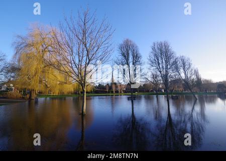 Der Fluss Avon in Salisbury Wiltshire platzt seine Ufer nach Wochen sintflutartiger Regenfälle im Südwesten des Vereinigten Königreichs bis Januar 2023. Zu Beginn des Neujahrs 2023 gab es Wochen des Regens, in denen die Flüsse in Großbritannien ihre Ufer zu platzen begannen. Der Fluss Avon gehörte dazu. Stockfoto