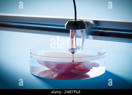 Bioprint 3D - das Konzept des Organdrucks für Transplantate auf 3D-Druckern. Die Zukunft der Transplantologie, 3D-Rendering. Stockfoto