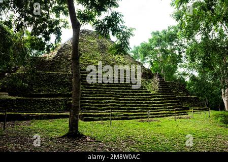 Maya-Pyramide im Yaxha-Nationalpark Stockfoto