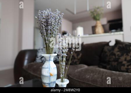 Blau getrocknete Blumen in Vase auf dem Wohnzimmertisch. Stockfoto