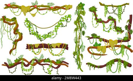 Liana Dicket. Holzzweige mit Kriechern, hängende Dschungel-Liana-Seile Efeu-Reben, Waldarbeiten, Blattdekoration, Blumenstiel, geniale Vektordarstellung der Liana-Holz-Pflanze Stock Vektor