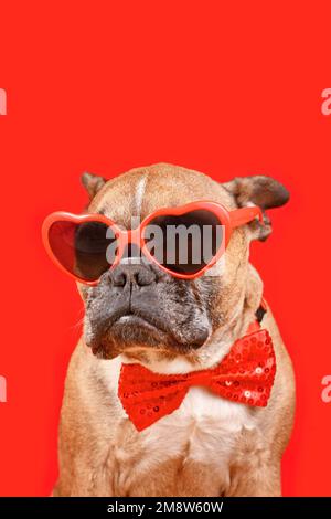 Französischer Bulldog mit herzförmiger Valentinsbrille und Fliege auf rotem Hintergrund Stockfoto