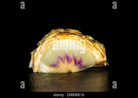 Artischocke, Cynara cardunculus var. Sklolymus Stockfoto