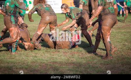 Withycombe, Devon, 15. Januar 2023, nach heftigen Regenschauern heute Morgen ging das Rugby-Spiel weiter, wobei Camborne RFC Withycombe RFC spielte. Die Temperatur heute war 8C Grad und die Sonne kam schließlich heraus. Nach einem schwierigen Spiel, bei dem beide Teams mit Schlamm bedeckt waren, erreichte Camborne 31 15 Punkte. Guthaben:Keith Larby/Alamy Live News Stockfoto