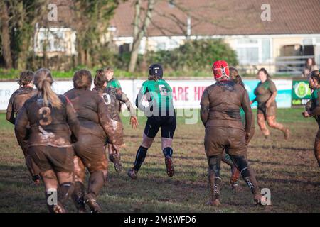 Withycombe, Devon, 15. Januar 2023, nach heftigen Regenschauern heute Morgen ging das Rugby-Spiel weiter, wobei Camborne RFC Withycombe RFC spielte. Die Temperatur heute war 8C Grad und die Sonne kam schließlich heraus. Nach einem schwierigen Spiel, bei dem beide Teams mit Schlamm bedeckt waren, erreichte Camborne 31 15 Punkte. Guthaben:Keith Larby/Alamy Live News Stockfoto