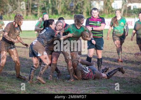 Withycombe, Devon, 15. Januar 2023, nach heftigen Regenschauern heute Morgen ging das Rugby-Spiel weiter, wobei Camborne RFC Withycombe RFC spielte. Die Temperatur heute war 8C Grad und die Sonne kam schließlich heraus. Nach einem schwierigen Spiel, bei dem beide Teams mit Schlamm bedeckt waren, erreichte Camborne 31 15 Punkte. Guthaben:Keith Larby/Alamy Live News Stockfoto