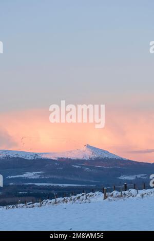 Ein malerischer Blick auf die schneebedeckte Bennachie in der Wintersonne am späten Nachmittag mit einer großen Schar Gänse, die über dem Horizont sichtbar ist Stockfoto