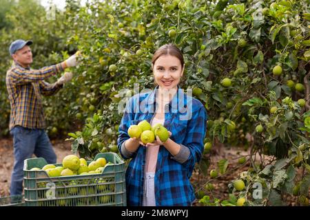 Fröhliche, erfolgreiche junge Frau, die im Garten Zitronen in den Händen hält Stockfoto