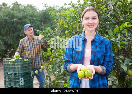 Fröhliche, erfolgreiche junge Frau, die im Garten Zitronen in den Händen hält Stockfoto