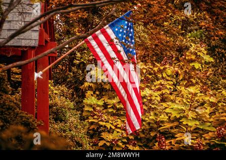 Das Gebäude ist mit einer amerikanischen Flagge und dickem Laub in kräftigen Herbsttönen versehen - selektiver Fokus und Platz für Kopien Stockfoto