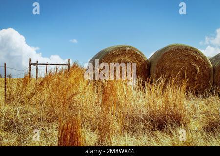 Große runde Heuballen in einer Ecke des Heufeldes mit einem alten, holzverstärkten Drahtzaun an der Ecke - Platz zum Kopieren Stockfoto