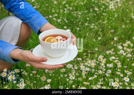 Weiße Frau mit seitlichem Blick, die in den Händen hält, weiße Tasse schwarzen Tee mit Zitronenscheibe, Kamillenblumen. Tasse mit Kräuterentgiftungsgetränk schließen. Gesundheit, Natur Stockfoto