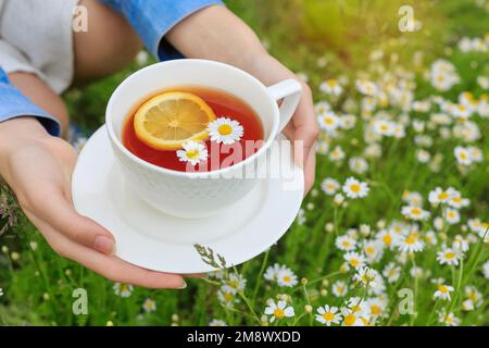 Weiße Frau mit seitlichem Blick, die in den Händen hält, weiße Tasse schwarzen Tee mit Zitronenscheibe, Kamillenblumen. Tasse mit Kräuterentgiftungsgetränk schließen. Gesundheit, Natur Stockfoto