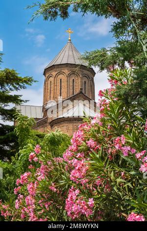 Kuppeln der Metekhi-Kirche in der Altstadt von Tiflis, Georgia. Die Marienhimmelskirche Metekhi ist eine georgisch-orthodoxe christliche Kirche Stockfoto