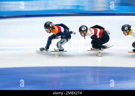 DANZIG - Jens van 't Wout, BERZINS Reinis Berzins und Stijn Desmet während 1000 Metern am 3. Tag der europäischen Schnellskating-Meisterschaft. ANP RONALD HOOGENDOORN niederlande raus - belgien raus Stockfoto