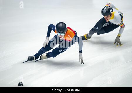 DANZIG - Stijn Desmet, Jens van 't Wout während 1000 Metern am 3. Tag der europäischen Schnellskating-Meisterschaft. ANP RONALD HOOGENDOORN niederlande raus - belgien raus Stockfoto