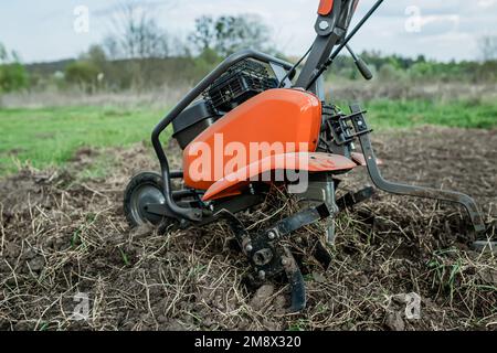 Motoblock im Haushaltsbereich. Arbeiten Sie mit einem Motorkultivator, indem Sie den Boden für die Aussaat und das Pflanzen von Setzlingen im Frühjahr pflügen. Stockfoto