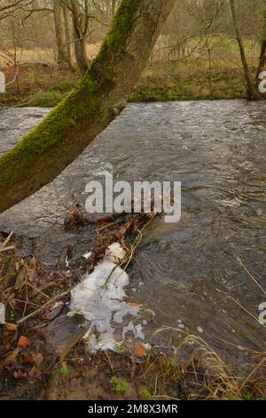 Verschmutzung durch Abfluss aus der Landwirtschaft Stockfoto