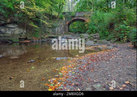 The Bridge by Falling Foss in North Yorkshire, Großbritannien Stockfoto