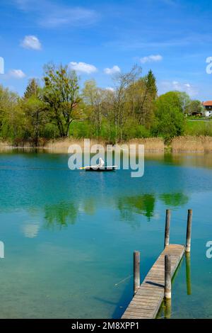 Lake Wagingersee, Lake Tachinger bei Tettenhausen, Rupertiwinkel, Chiemgau, Oberbayern, Bayern, Deutschland Stockfoto