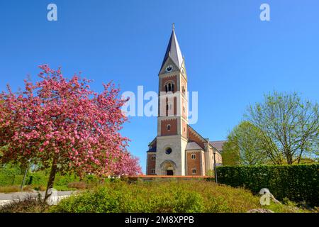 Maria Himmelfahrt, Fridolfing bei Tittmoning, Rupertiwinkel, Chiemgau, Oberbayern, Bayern, Deutschland Stockfoto