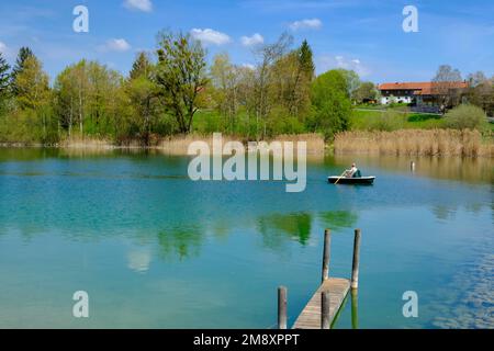 Lake Wagingersee, Lake Tachinger bei Tettenhausen, Rupertiwinkel, Chiemgau, Oberbayern, Bayern, Deutschland Stockfoto