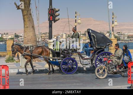 Pferdekutsche, Touristen, Uferpromenade Corniche, Luxor, Ägypten Stockfoto