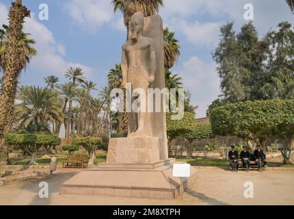 Ramses II, Statue, Skulpturengarten, Museum, mit Rathina, Memphis, Ägypten Stockfoto
