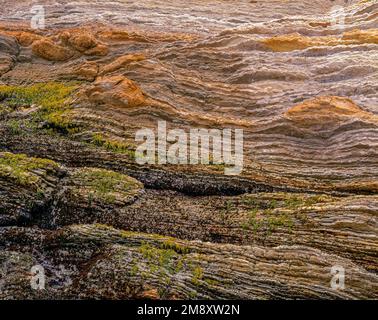 Monterey Schiefer, Montana de Oro State Park, San Luis Obispo County, Kalifornien Stockfoto