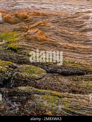 Monterey Schiefer, Montana de Oro State Park, San Luis Obispo County, Kalifornien Stockfoto