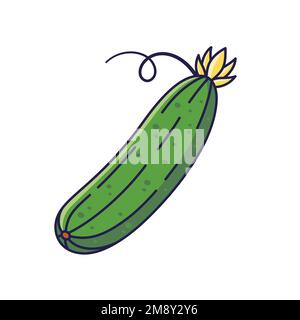 Süße Gurken-Cartoon-Ikone-Illustration. Flaches Symbolkonzept für Lebensmittel und Gemüse isoliert auf weißem Hintergrund. Gurke im Doodle-Stil. Illustration der Speisen Stock Vektor