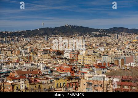 Die Stadt Barcelona vom Aussichtspunkt Miramar auf Montjuic an einem Wintermorgen (Barcelona, Katalonien, Spanien) Stockfoto