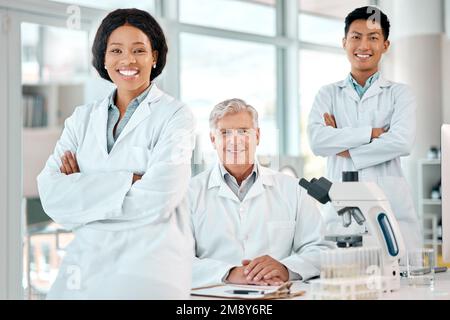 Triff die Superhelden der Wissenschaft. Porträt einer Gruppe von Wissenschaftlern, die in einem Labor arbeiten. Stockfoto