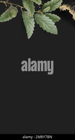 Handgezeichneter Vektor aus Eichenblättern mit Mobiltelefontapeten Stock Vektor