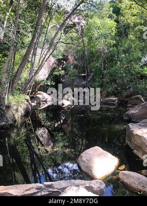 Von Bäumen gesäumter erster Pool, Motorcar Falls, Kakadu National Park, Northern Territory, Australien Stockfoto