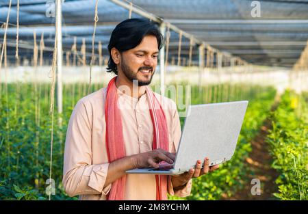 Glücklicher junger Landwirt, der im Gewächshaus mit dem Notebook beschäftigt ist – Konzept von moderner Landwirtschaft, Technologie und Entwicklung oder Wachstum. Stockfoto