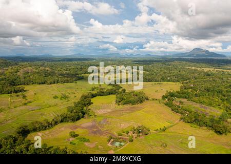 Blick von oben auf Reisfelder und Ackerland in einem Tal inmitten von Bergen. Sri Lanka. Stockfoto