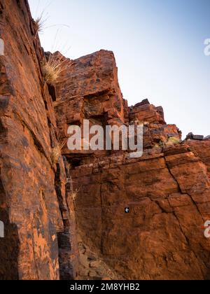 Die Route führt über den Slot, Mt Bruce (Punurrunha), den Karijini-Nationalpark, Westaustralien Stockfoto