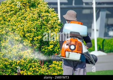 Arbeiter in Overalls sprüht mit Giften und Fungiziden Büschen immergrüner Sträucher in einem Stadtpark Stockfoto